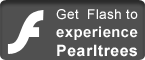 get flash