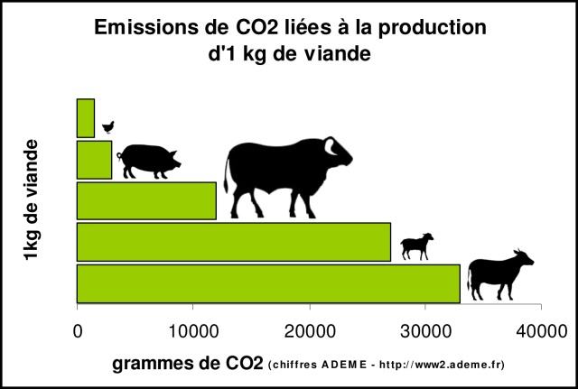 1KG VIANDE EQUIVALENT C02