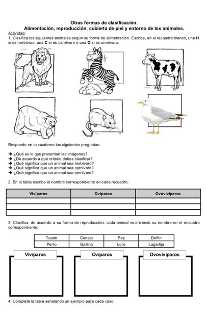 Actividad sobre la clasificación de los animales