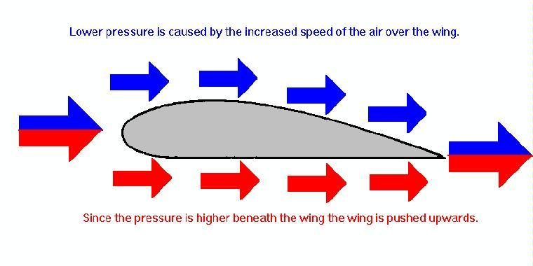 bernoulli principle