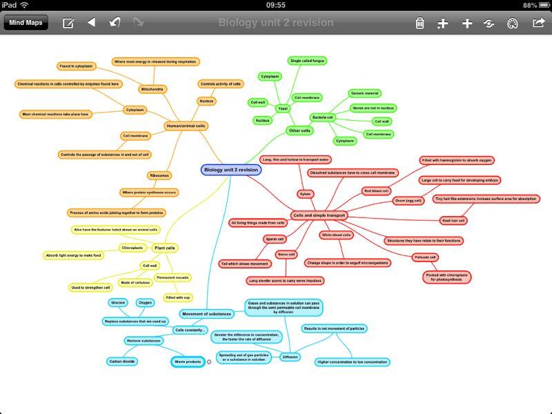 Biology mindmap