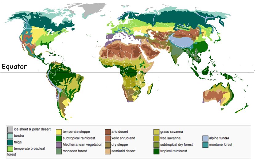 Biomes Equator