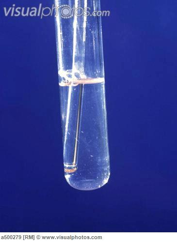 carbon dioxide limewater test