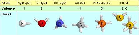 chnops 6 elements of life