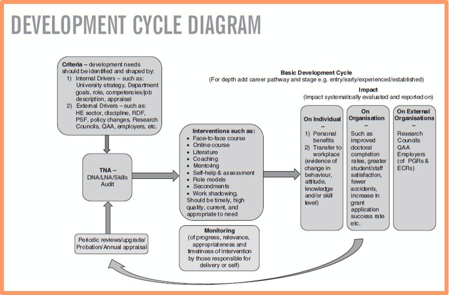 Development Cycle Diagram