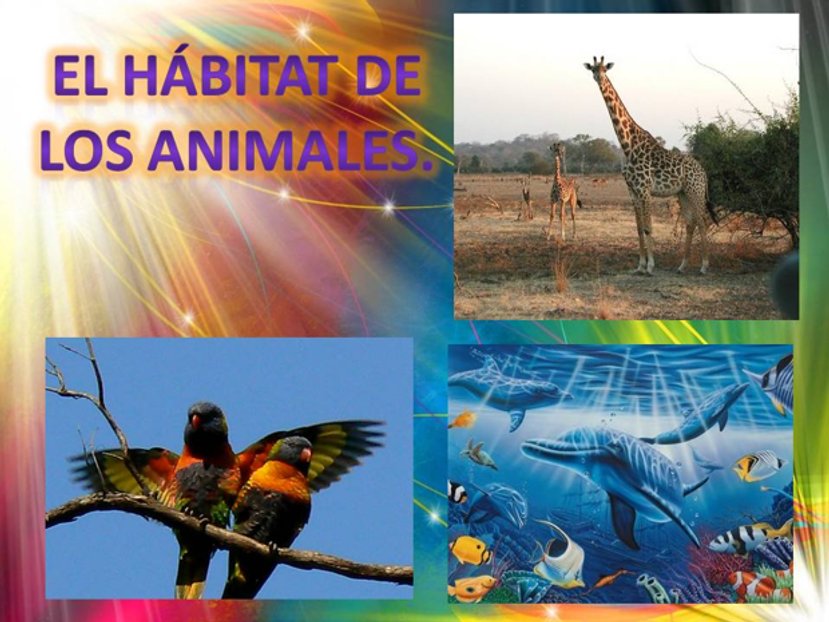 El hábitat de los animales.