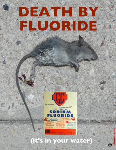 fluoride rat poison