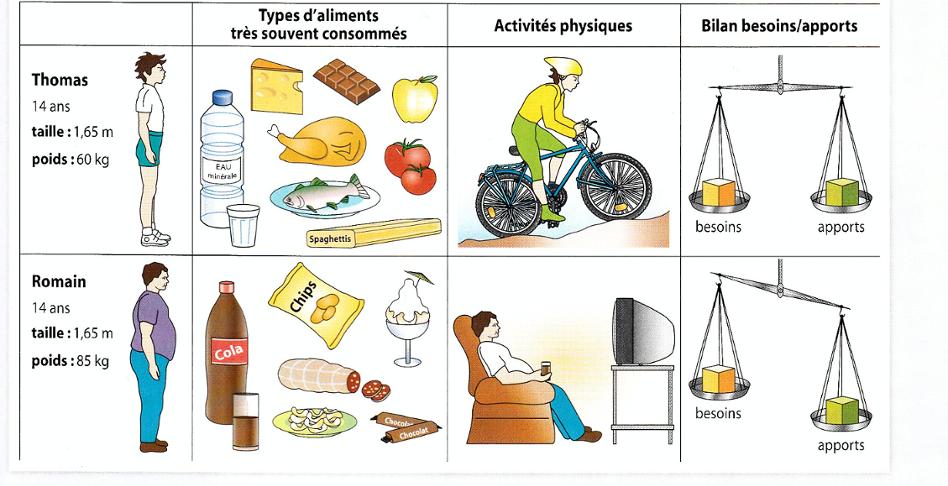 Etats de santé en fonction de l'alimentation et de l'activite physique