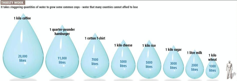 Gaspillage d'eau pour des biens non essentiel