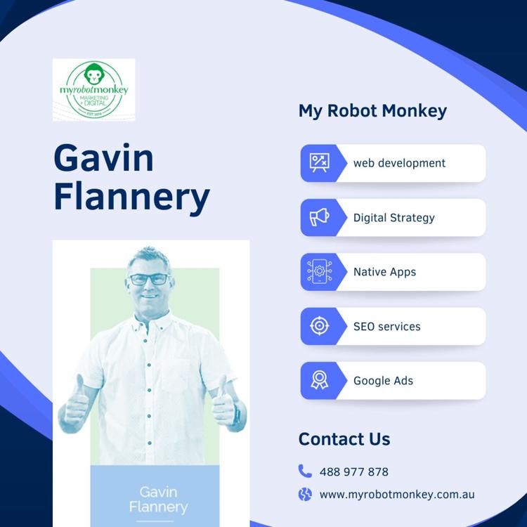 Gavin Flannery- My Robot Monkey.jpg