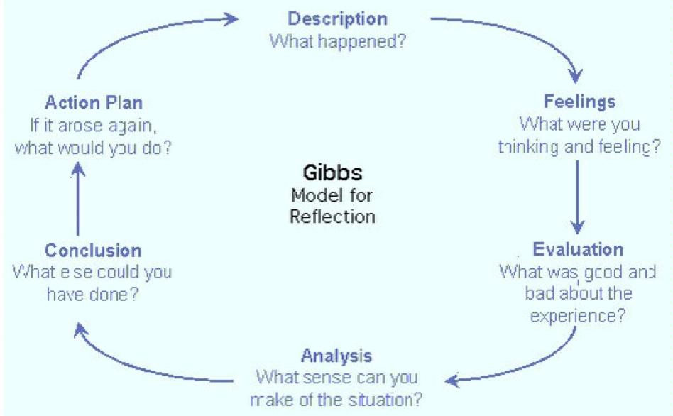 Gibbs Model For Reflection