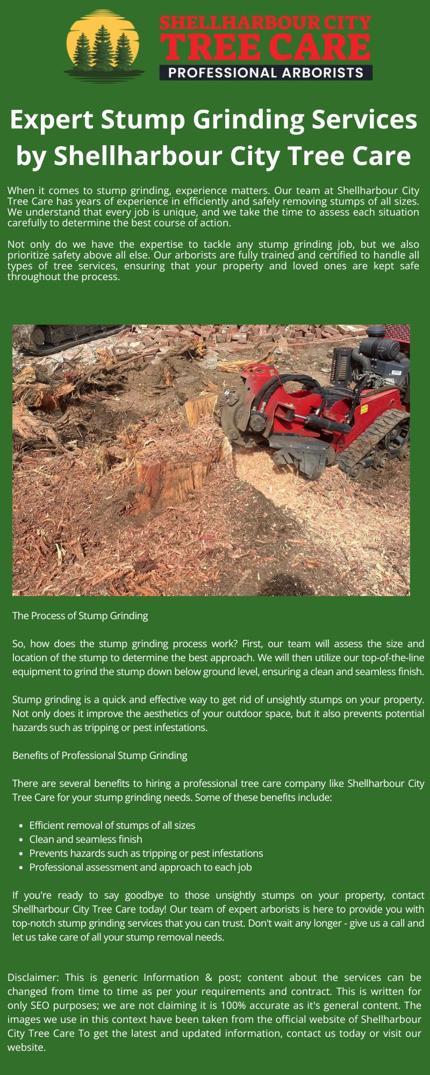 Expert Stump Grinding Services by Shellharbour City Tree Care.jpg