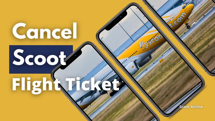 how to cancel scoot flight ticket  Visit our website to explore step by step guidelines for cancelation httpsbit.ly31RwL98.png