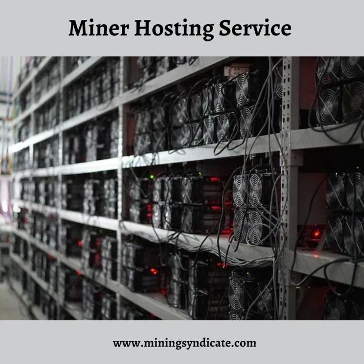 Miner Hosting Service  Find Online Bitcoin Miner Hosting USA.jpg