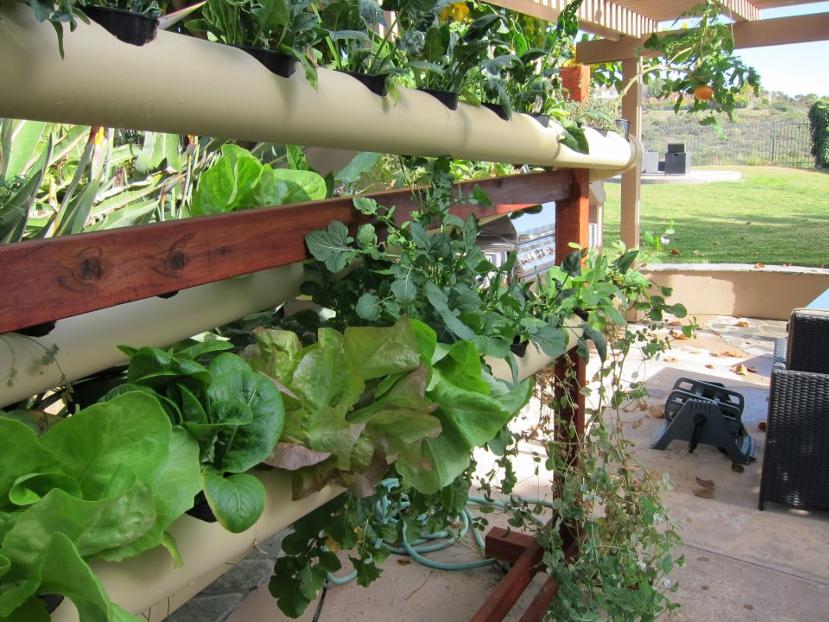 Hydroponic System