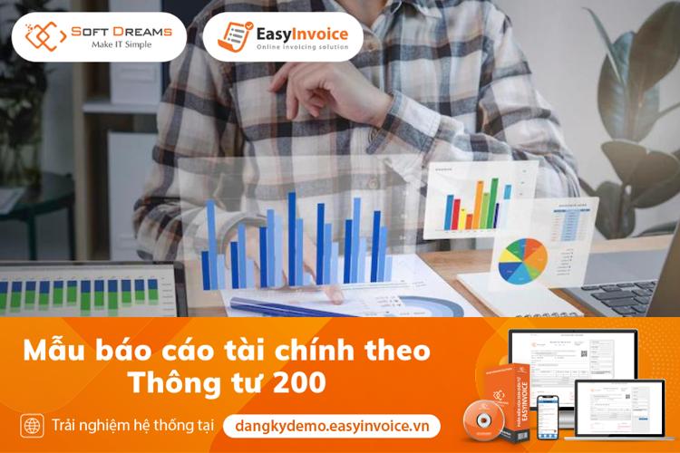 mau bao cao tai chinh theo thong tu 200.png