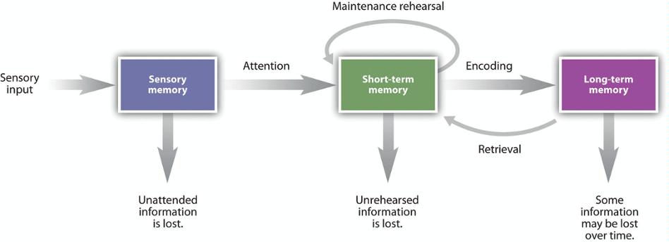 memory diagram