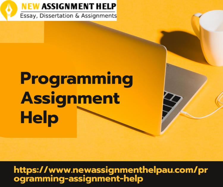Programing Assignment Help.png