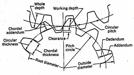 spur gear