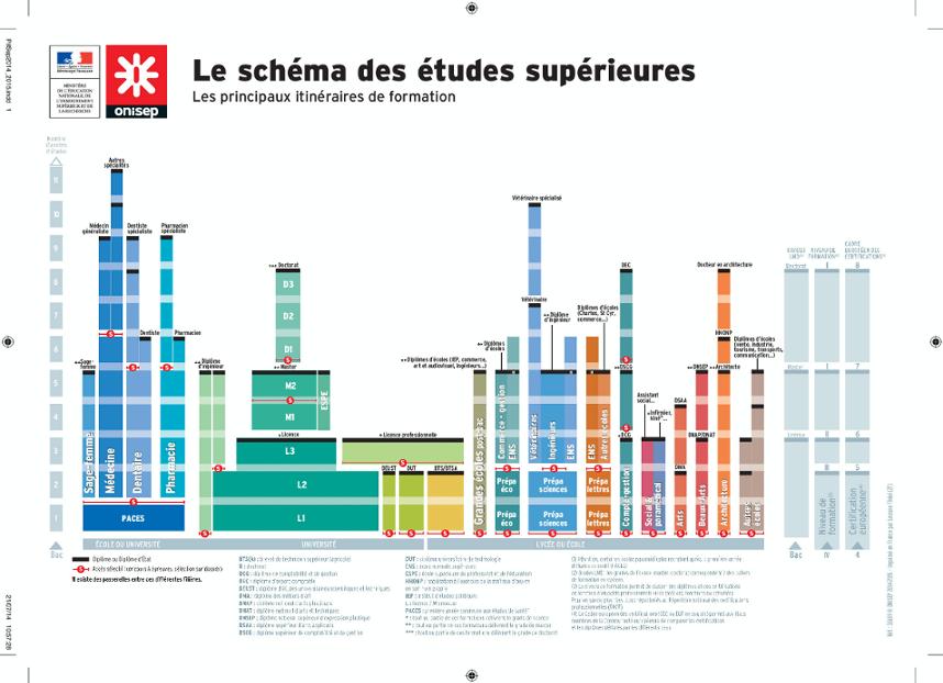 Tableau des études supérieures