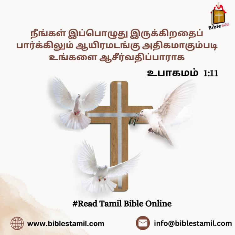 Dive into the Read Tamil Bible Online for Spiritual Insight at Bible .png