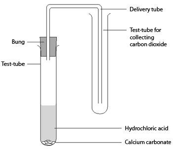 Test for Carbon Dioxide