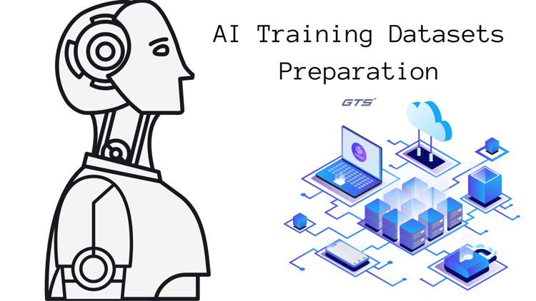 AI Training Datasets Preparation.png