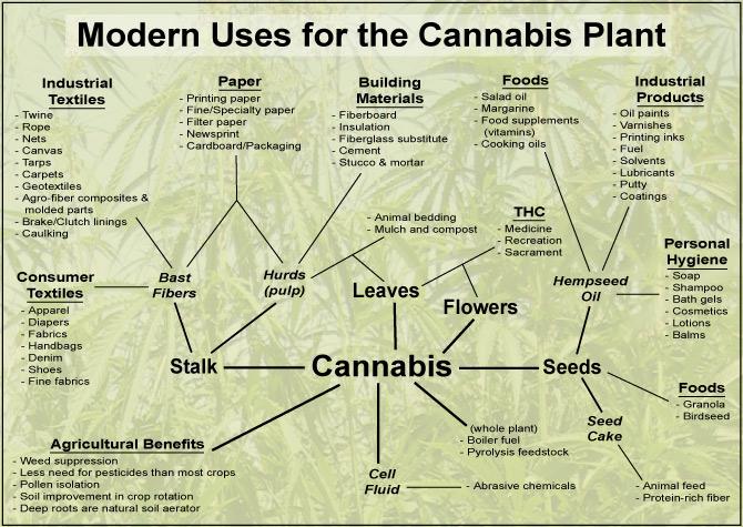 Uses For Cannabis