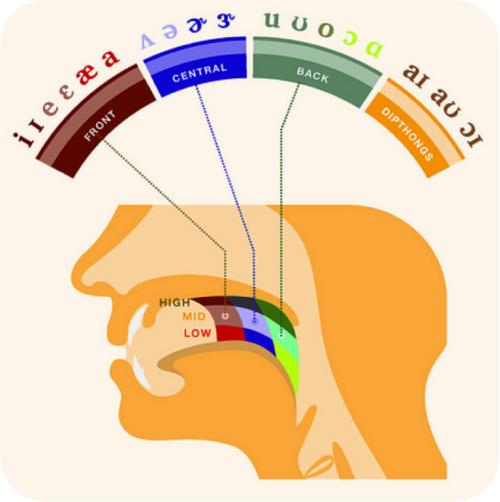 vowel classification