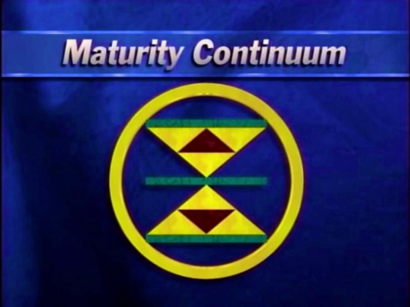 What is Maturity Continuum