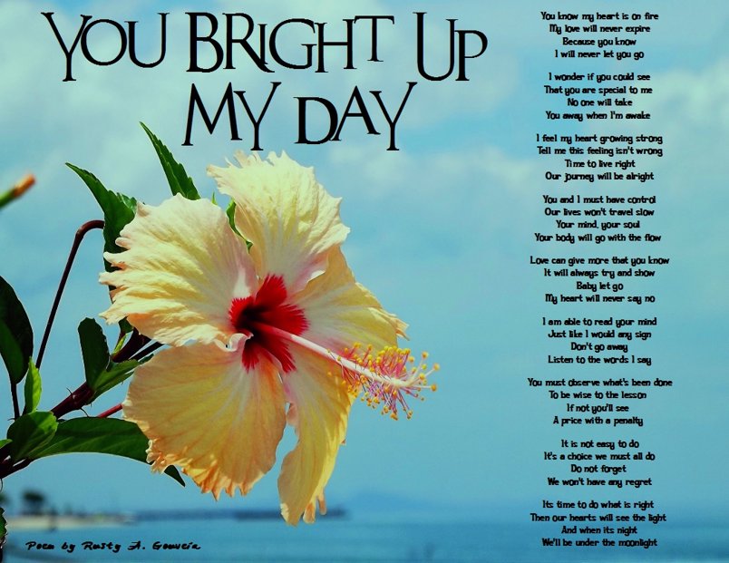 You Bright Up My Day