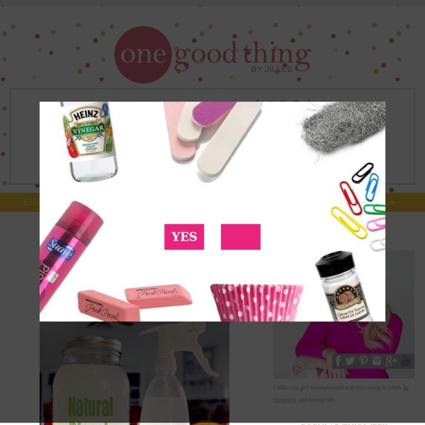 A Natural Bleach Alternative One Good Thing by Jillee Pearltrees