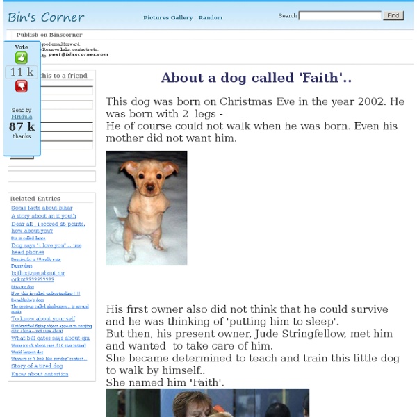 About a dog called 'Faith'..