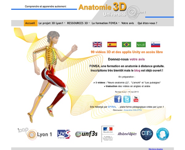 Animations anatomie 3D