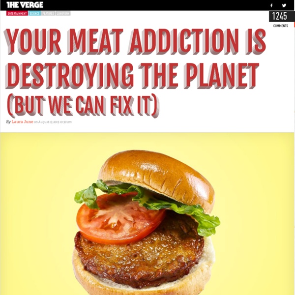 Your meat addiction is destroying the planet