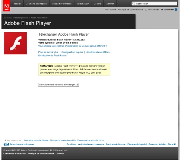 Adobe Flash Player 10 ActiveX