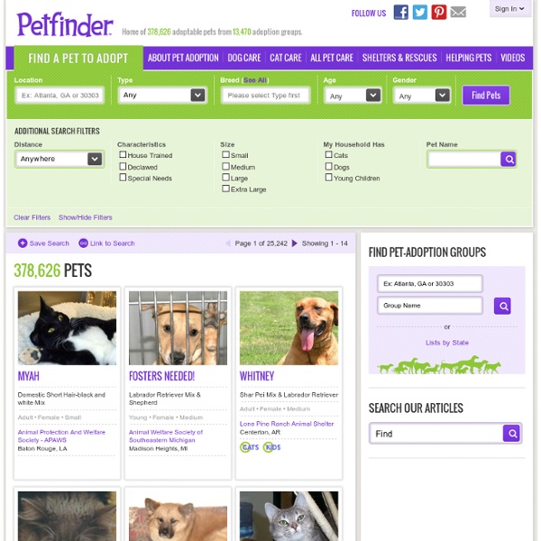 Salem County Humane Society, Carneys Point, NJ: Adoptable Pets: