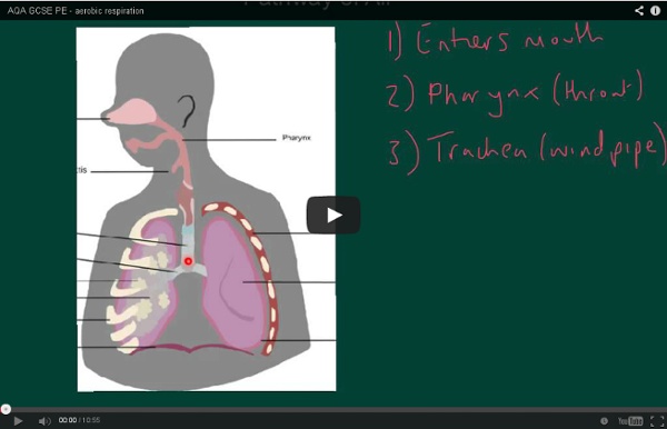 Aerobic respiration