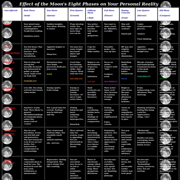 Affect of the Moon's Eight Phases on Your Personal Reality