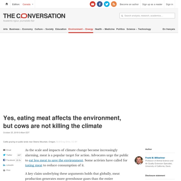Yes, eating meat affects the environment, but cows are not killing the climate