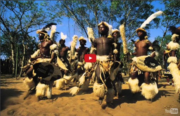 African Zulu Voices Music