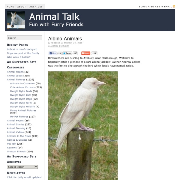 Albino Animals — Animal Talk - StumbleUpon
