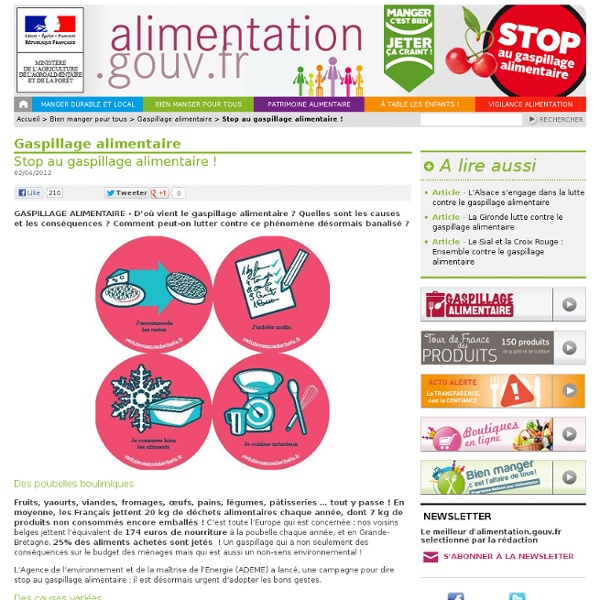 Stop au gaspillage alimentaire !