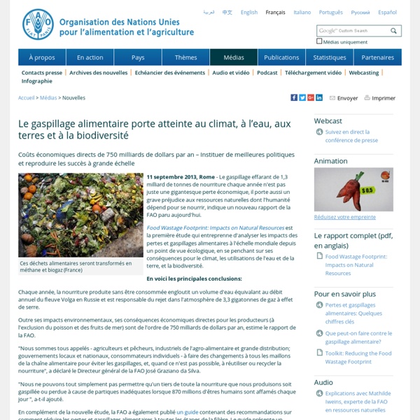 FAO - Nouvelles: Le gaspillage alimentaire porte atteinte au climat, à l’eau, aux terres et à la biodiversité