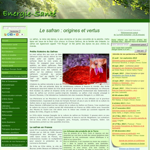 Le safran : origines et vertus