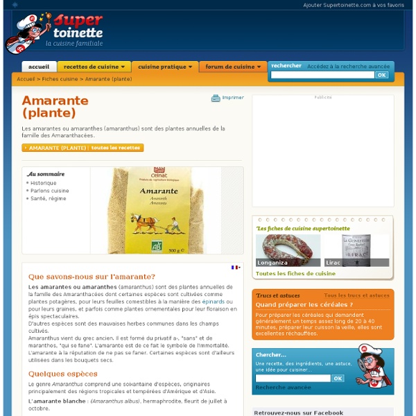 Amarante (plante) ~ Fiche Amarante (plante) et recettes de Amarante (plante) sur Supertoinette