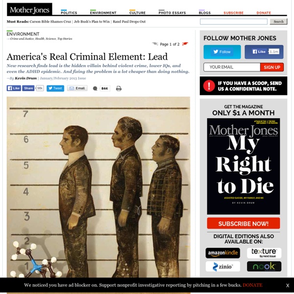 America's Real Criminal Element: Lead