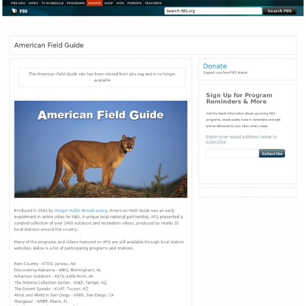 American Field Guide