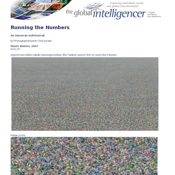Running the Numbers - An American Self-Portrait
