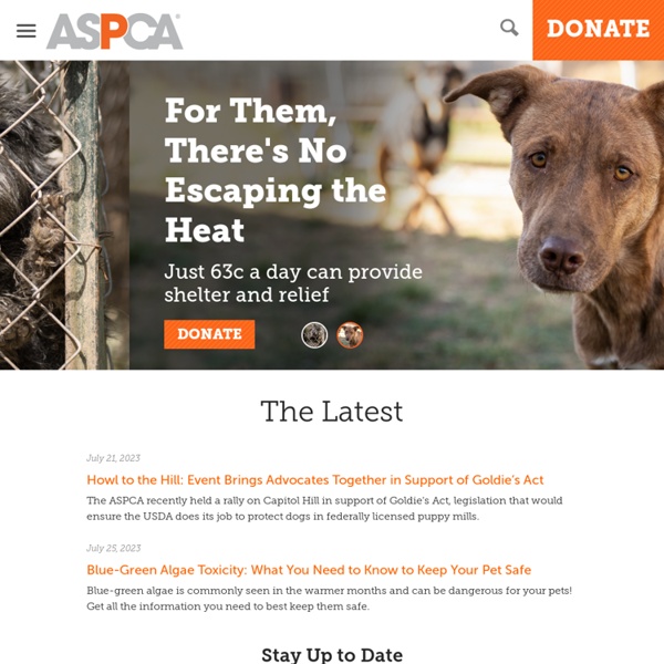 The American Society for the Prevention of Cruelty to Animals